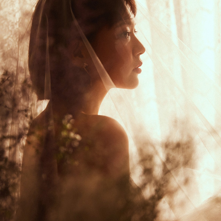 수정본 데이터 무료