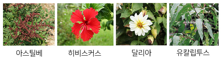 아아아난ㄴㄴㄴ.jpg