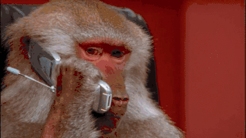 KakaoTalk_20190314_113612460.gif