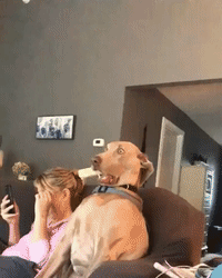 KakaoTalk_20190515_120855165.gif