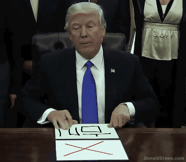 temp_1559201894417.-117956050.gif