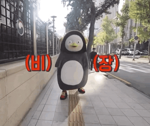비장.gif
