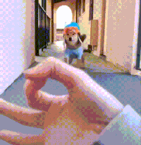1544057238838-6e54525add.gif