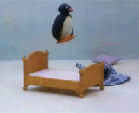 1565182101898-b57d6a70d0.gif