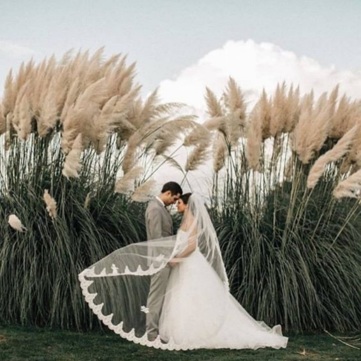 batch_michellesbridalantuxedo.com.jpg