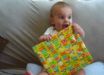 giphy (9).gif