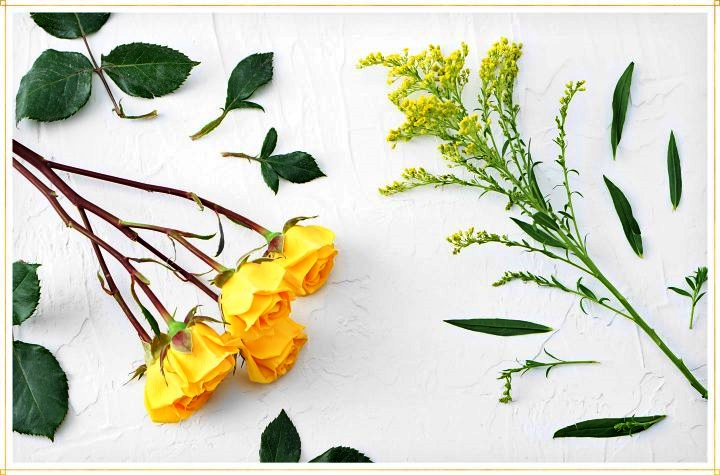 2batch_how-to-dry-flowers-step1-720x475.jpg