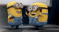 1534579242326-f7087667e3.gif