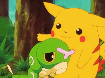 KakaoTalk_20181107_163525947.gif