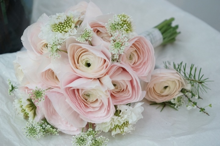 하노이 flower_dancee.jpg