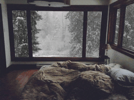 KakaoTalk_20181112_154722274.gif