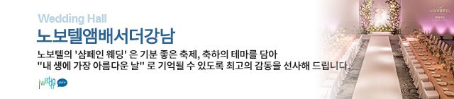 노보텔앰배서더강남
